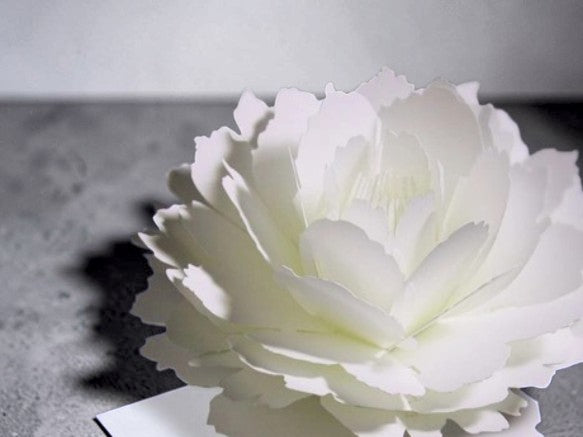 The Blooming Symphony: Rose Message Card Inspired by Origami Artistry