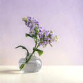 The Messenger of Serendipity: Everlasting Magical Water Premium Lilac Floral Art