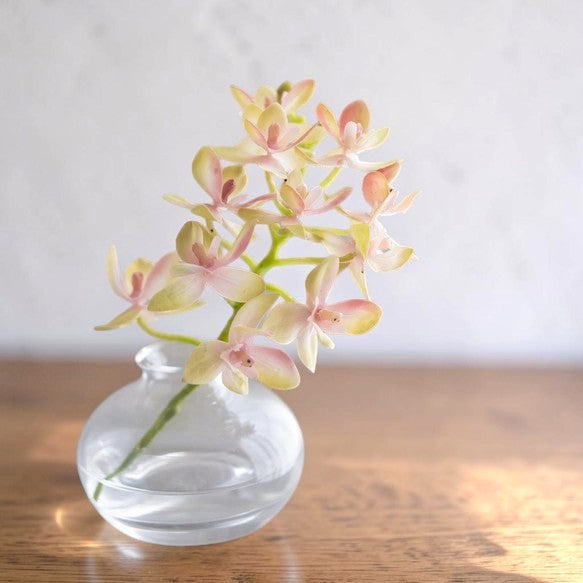 Glace Orchid Premium Art Flower Art with Everlasting Magical Water