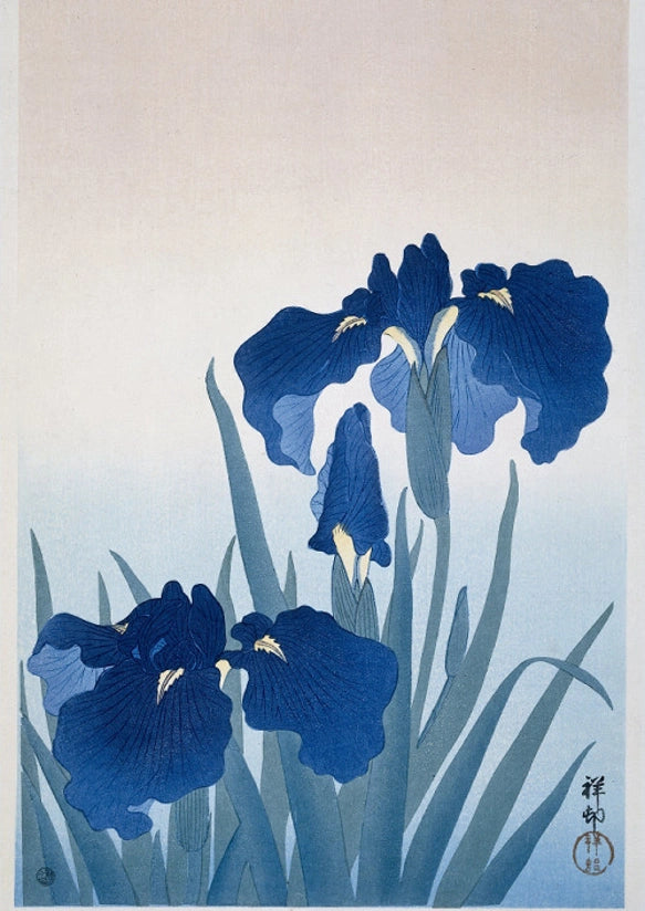 Serene Iris Bloom:Vintage Japanese Nihonga & Ukiyo-e Fine Art Poster