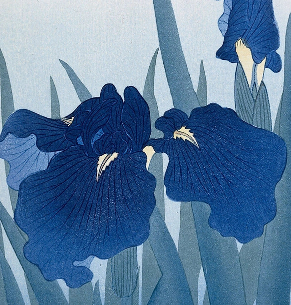 Serene Iris Bloom:Vintage Japanese Nihonga & Ukiyo-e Fine Art Poster
