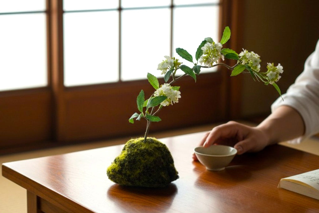 A Miniature Bonsai Universe Bringing Calm to Your Life: Artisan Handcrafted Premium Kodemari Moss Ball "Shiromari"
